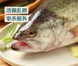 鲜活冲浪河鲈鱼400-500g/条 中秋送礼家宴宴请 实拍图