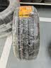 马牌（Continental）汽车轮胎205/55R16 91V FR UCJ+ 适配丰田卡罗拉/朗逸/速腾/宝来 实拍图
