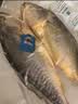 三都港 冷冻三去黄花鱼700g/2条装 新鲜大黄鱼生鲜鱼类 深海鱼 海鲜水产 实拍图