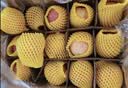 佳农烟台红富士苹果 净重10斤 一级果 单果重160g+  生鲜水果源头直发 实拍图