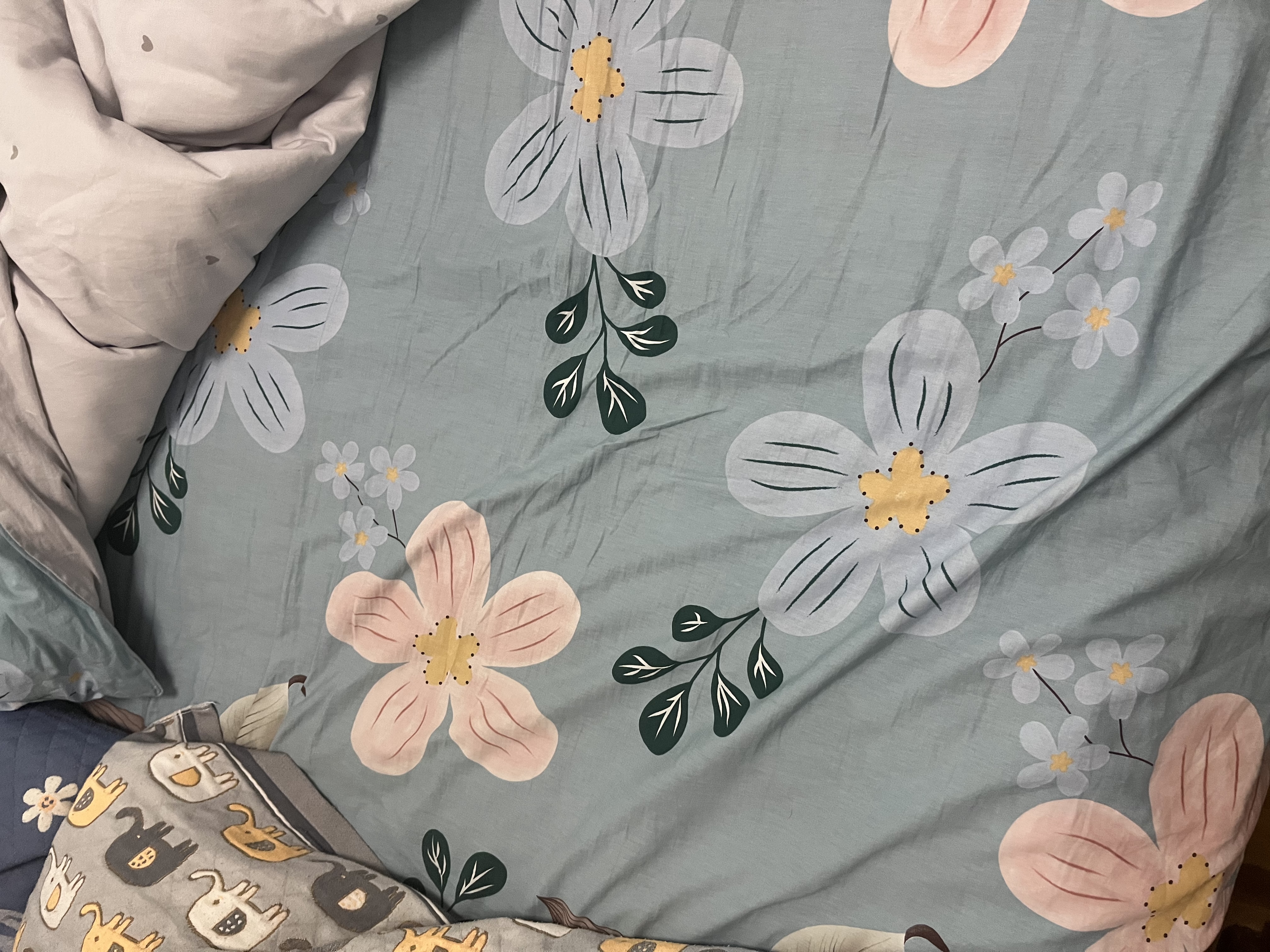 洁丽雅（Grace）A类床单单件 100%纯棉7A抗菌面料床单  200*230cm 花语 实拍图