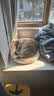 维克（Virbac）耳漂滴耳液狗狗猫咪预防耳螨清洁耳道洗耳液犬猫耳部清洁宠物滴耳液 60ml 实拍图