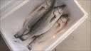 1号会员店（One's Member）零添加保水剂白蕉三去海鲈鱼 净重1000g(500g*2) 海鲜水产鱼类  实拍图