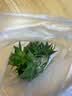 京严打粉机超细研磨机家用中药粉碎机小型打碎五谷杂粮料理胡椒磨粉机 升级款【优质不锈钢】研磨器家用 多功能干湿两用磨粉机 实拍图