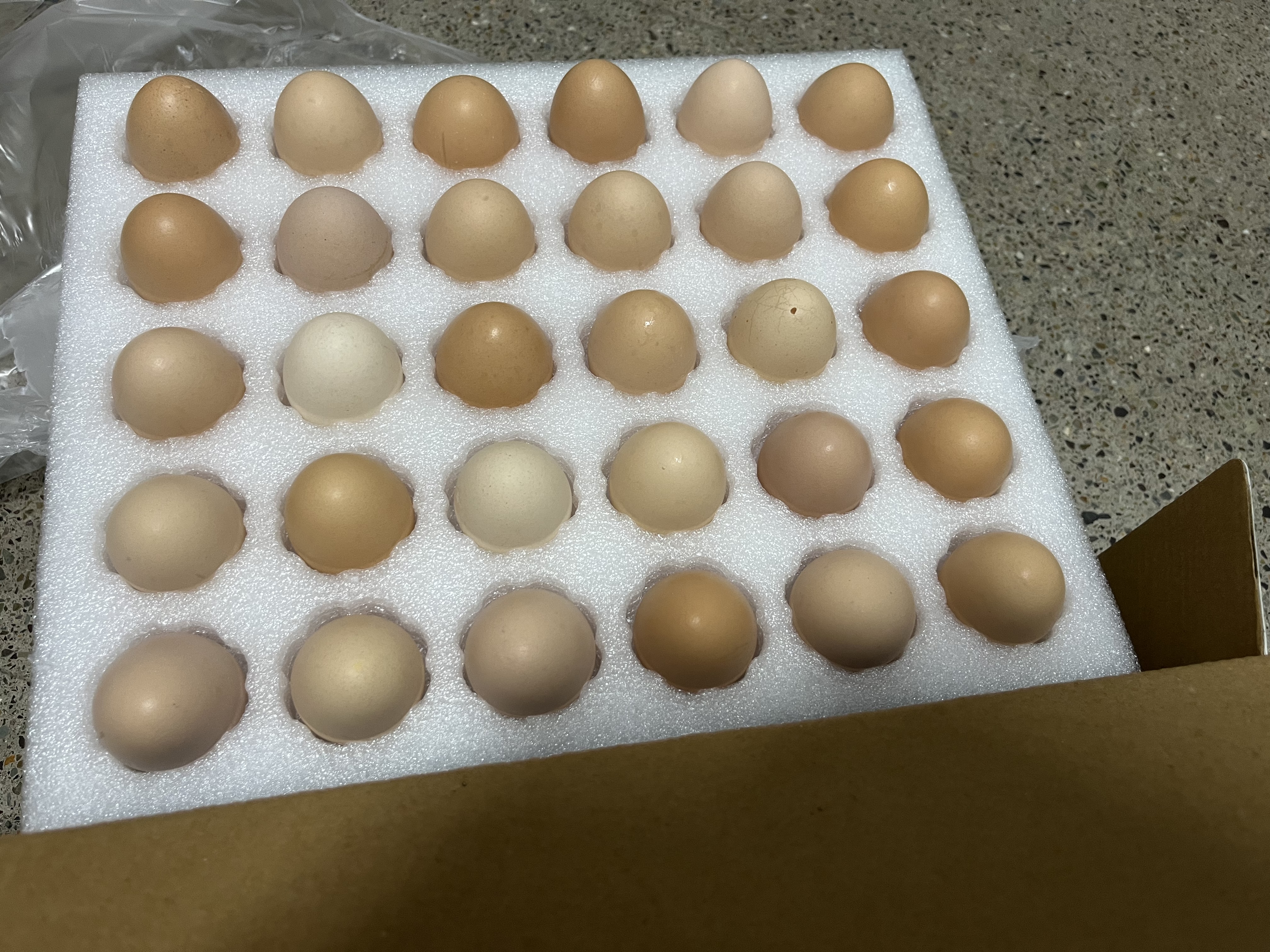 蛋鲜森 可生食土鸡蛋 60枚礼盒装 单枚40g 生鲜鸡蛋 日期新鲜 源头直发 实拍图