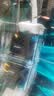 彻朗静音水泵鱼缸潜水泵循环泵底吸泵海水缸小型家用过滤抽水泵25w 实拍图