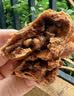 广州酒家核桃包750g 20个早餐半成品早茶点心包子面点食品生鲜速食美食 实拍图