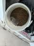 藻趣儿狗粮 藻趣儿狗粮成犬粮牛肉螺旋藻 均衡营养15kg/30斤 实拍图