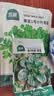 北蔬 小叶香菜种子苗浓香芫荽四季蔬菜籽 寒圣1号小叶香菜籽种子250g 实拍图