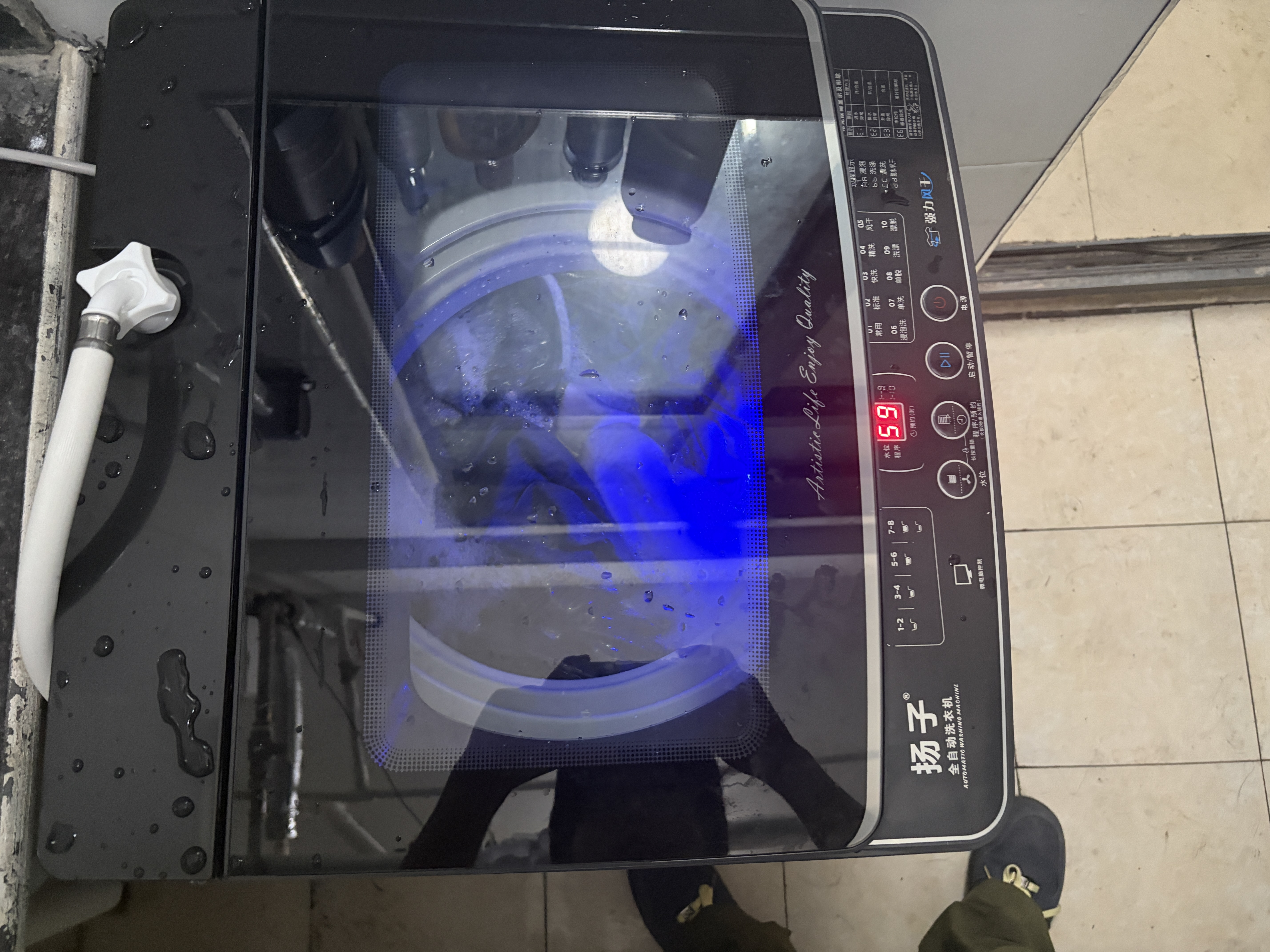 扬子【政府补贴15%】洗衣机全自动一级能效 家用大容量洗烘一体波轮 以旧换新出租房宿舍神器 13KG【店长推荐】蓝光风干+品质电机+玻璃盖 波轮 实拍图