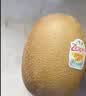 佳沛（zespri）新西兰金奇异果12粒特大果124-146g猕猴桃水果礼盒 实拍图