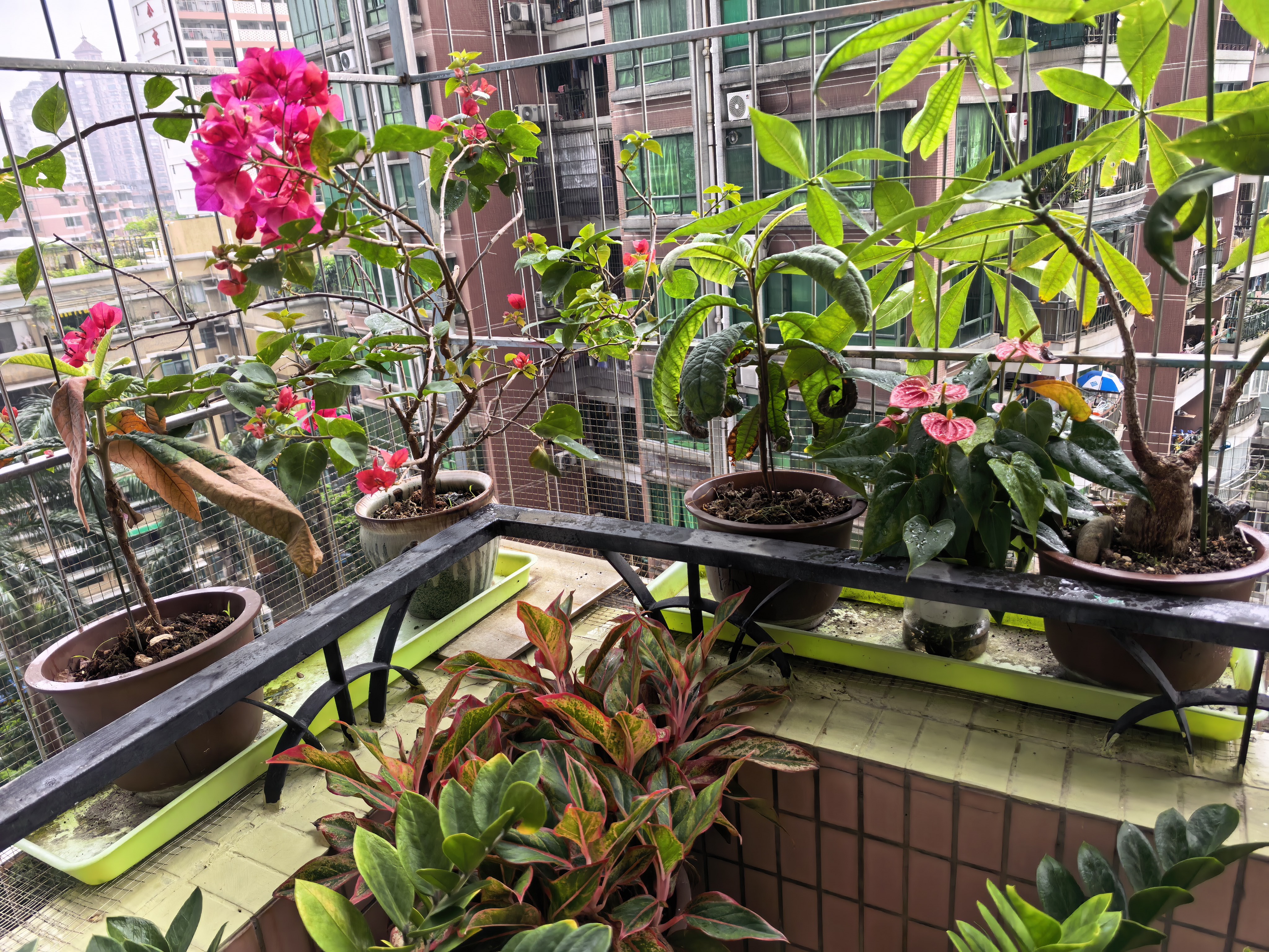 东方雨虹 外墙防水涂料 透明防水胶 补漏王 窗台补漏透明隐形防水 1KG 实拍图