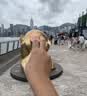 乐而雅花王进口F透气棉柔纤巧日用护翼型卫生巾25cm17片姨妈巾京东自营 实拍图