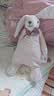澳贝（auby）婴幼儿童玩具星座小兔安抚巾宝宝哄睡神器新生儿毛绒手偶满月礼物 实拍图