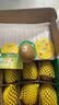 佳沛（zespri）新西兰金奇异果8粒特大果124-146g猕猴桃水果礼盒 实拍图