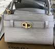 CHARLES&KEITH鳄鱼纹凯莉包手提斜挎婚包包女包生日礼物送女友CK2-50270880-1 Sea Salt Blue海盐蓝（新色） S 实拍图