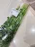 【火锅季】带根香菜100g 实拍图