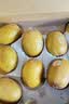 佳沛（zespri）新西兰金奇异果12粒特大果124-146g猕猴桃水果礼盒 实拍图