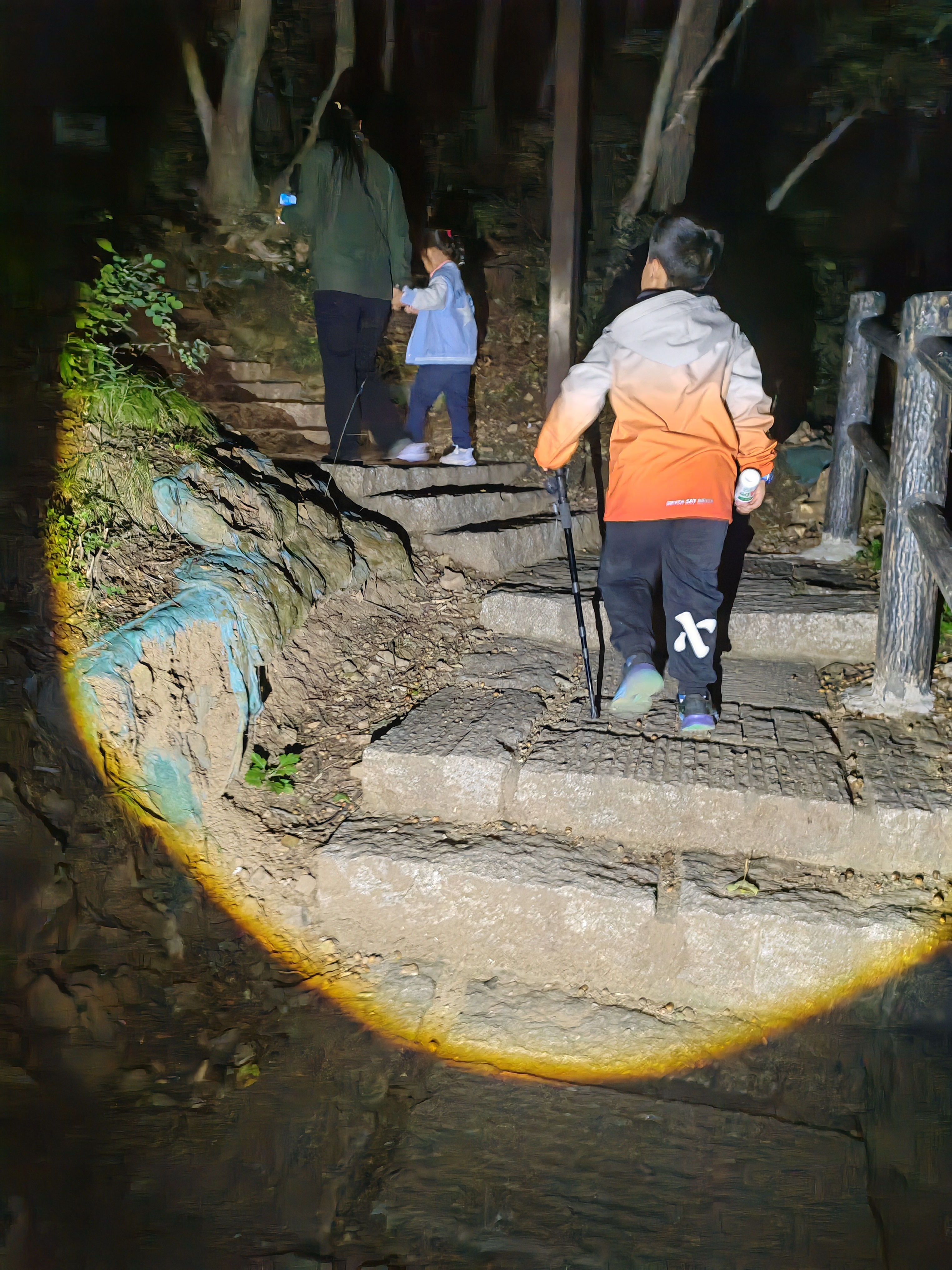 神火（SupFire）户外防身登山杖铝合金T型柄4节超轻徒步健走爬山棍拐杖儿童手杖 实拍图