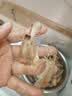海速达皮皮虾 净重1斤15-22只 中大号满肉熟冻濑尿虾爬子虾婆姑 实拍图
