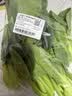 上海青约500g(油菜) 实拍图