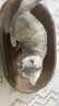 疯狂的主人猫抓板窝碗形超大号猫抓盆不掉屑猫窝宠物猫玩具瓦楞纸猫爪板 实拍图