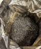 八马茶业武夷红茶 特级金骏眉花果蜜香250g金马罐装 送礼袋 实拍图
