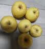 京地达烟台栖霞黄金奶油富士苹果净重9斤中果75mm+京东自营新鲜水果包邮 实拍图