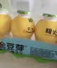 金豆芽金银花柚子汁儿童果汁饮品送礼盒装户外便携饮料100ml*13袋 实拍图