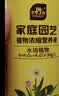 史丹利（STANLEY）水培植物营养液富贵竹专用郁金香水仙花室内盆栽通用型肥料125ml 实拍图