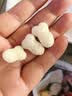 英氏婴幼儿小鱼泡芙牛奶味 婴儿零食儿童泡芙宝宝零食尝鲜16g 实拍图
