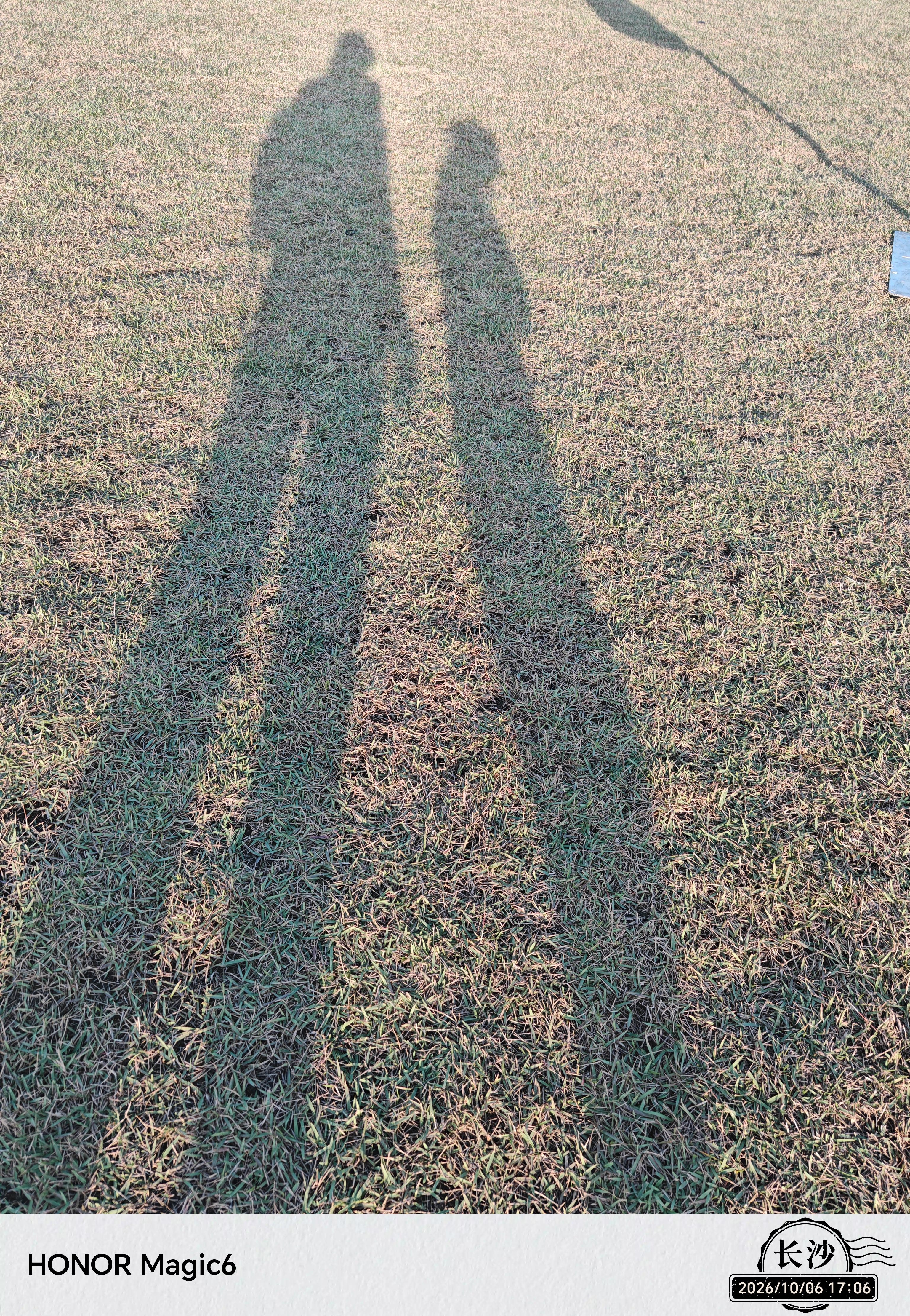 特步（XTEP）儿童滑板双翘板男女专业款青少年初学者【中小学滑板课程必备】 实拍图