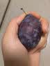 1号会员店新疆法兰西西梅4斤家庭装 单果18-24g 中秋送礼 源头直发 包邮 实拍图