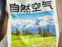 福丸自然空气 豆腐矿砂混合砂不易粘底除臭低尘 伊犁草原 2.4kg*4 实拍图