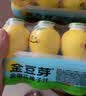 金豆芽儿童金银花柚子汁155ml*16瓶便携孩子饮料宝宝果汁西柚汁 实拍图
