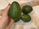 京鲜生 秘鲁牛油果4粒装单果130g+（非即食） 生鲜水果 实拍图