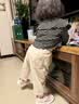 巴布豆童鞋宝宝学步鞋冬季加绒保暖毛毛虫婴儿机能鞋二棉童鞋贝壳粉;21 实拍图
