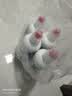 花王（KAO）马桶清洁剂500ml*4瓶 原装进口洁厕灵洁厕液厕所清洁剂去污垢除味 实拍图