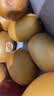 佳沛（zespri）金奇异果25-27粒原箱特大果124-146g猕猴桃中秋节礼品送水果礼盒 实拍图
