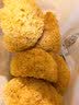 盛耳 银耳糯耳200g 白木耳古田银耳干货特产丑耳莲子羹汤材料软糯 实拍图