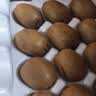 京鲜生陕西周至徐香绿心猕猴桃 24粒单果90-110g 当季新鲜水果 源头直发 实拍图