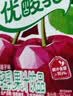 伊利【时代少年团同款】优酸乳车厘子味250ml*24盒 礼盒装 实拍图