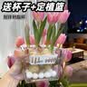 耘淘郁金香种球水培5度球花卉绿植种子土培植物水养盆栽室内室外耐寒1 方盆带吊篮4球新水培套餐【品种可备注】送2包营养液 实拍图