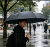京东京造超大号雨伞长柄伞自动男士直杆伞高尔夫商务晴雨伞暴雨抗风27寸 实拍图