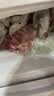 京东跑山猪黑猪精肋排 净重4斤 不含脊骨 整切排骨猪肉肋条红烧炖汤生鲜食材 实拍图