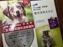拜宠清爱沃克宠物驱虫药口服内驱蛔虫绦虫线虫钩虫2kg以上犬6粒德国进口 实拍图