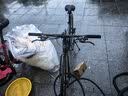 永久公路自行车24变速700C男女式成人儿童城市休闲单车 骑士灰 实拍图