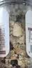 特瑞肯柠檬海盐黑胡椒研磨瓶装45g西餐健身餐提味牛排蔬菜沙拉调味料 实拍图