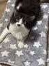 HELLOJOY狗垫子狗窝冬季保暖猫垫子宠物冬加厚猫窝睡觉用毛毯猫咪狗狗睡垫 实拍图