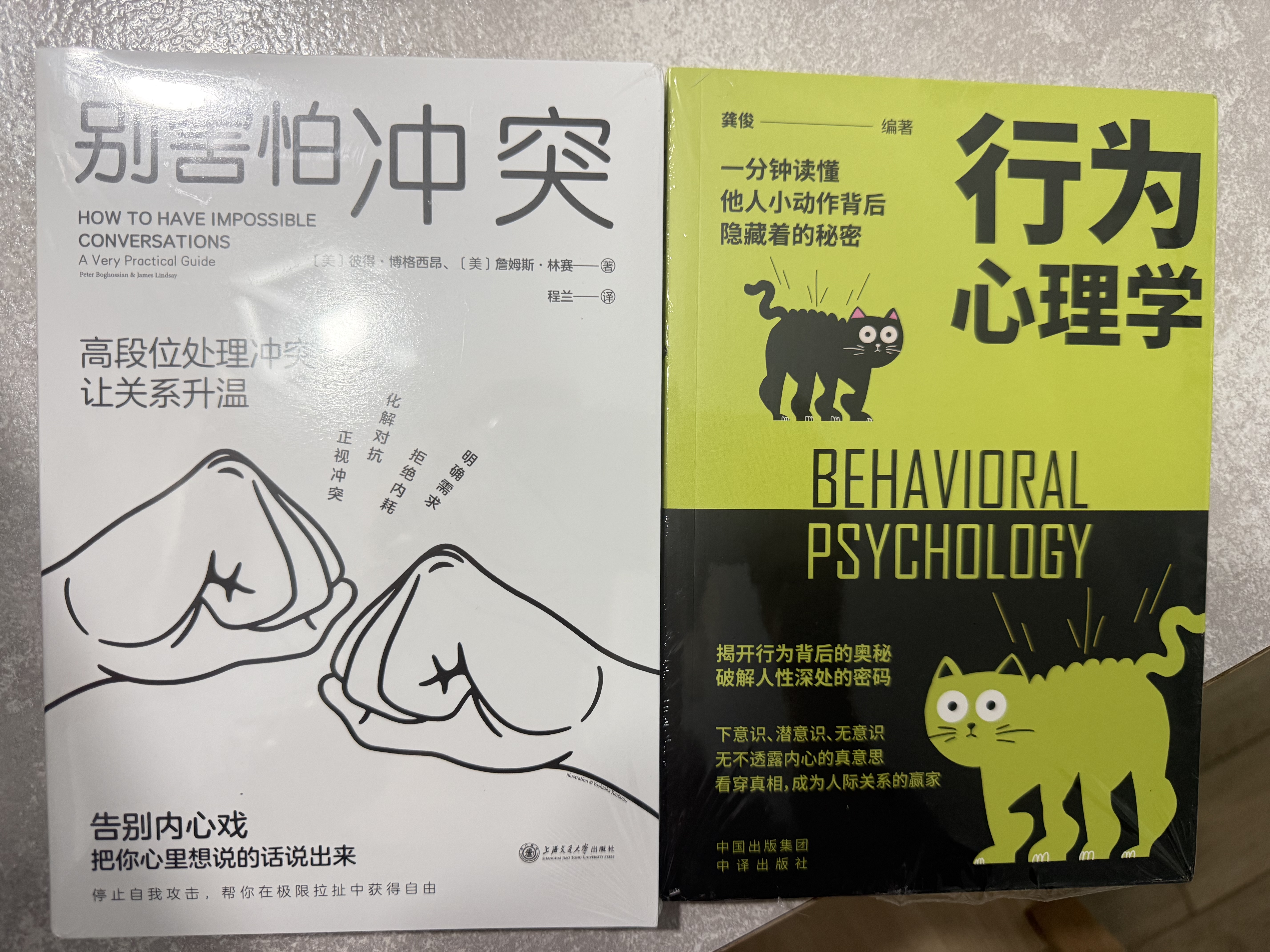 别害怕冲突  告别停不下来的自我攻击和说不出口的精神内耗 揭秘冲突背后的复杂原因 有效捍卫你的心理边界 心理学 正版 2024高考作文 实拍图